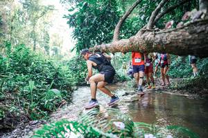 BIB: 
                            <button type="button" onclick="openModal(25454648)" class="btn btn-primary btn-sm float-right btn-popup" data-toggle="modal" data-target=".modal-high-quality">
                        <i class="fas fa-shopping-cart"></i> Add to Cart
                    </button>
                                            <button type="button" onclick="isThisMe(25454648, true)" class="btn btn-success btn-sm float-right btn-popup btn-isme hidden" data-toggle="tooltip" data-placement="bottom" title="นี่คือรูปของคุณใช่ไหม คลิกที่นี่เพื่อเอาเข้าอัลบั้ม">
                        <i class="fas fa-plus"></i> Add to album
                    </button>
                    <button type="button" onclick="isThisMe(25454648, false)" class="btn btn-warning btn-sm float-right btn-popup btn-isnotme hidden">
                        <i class="fas fa-ban"></i> Remove from album
                    </button>